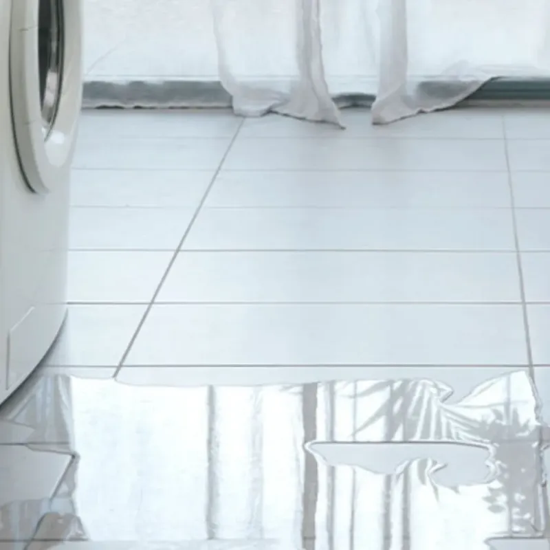 Appliance Leak Cleanup in Lochsloy, WA