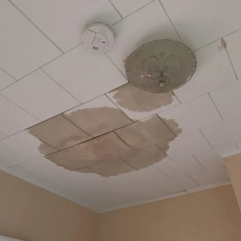 Ceiling Water Damage Repair in Lochsloy, WA