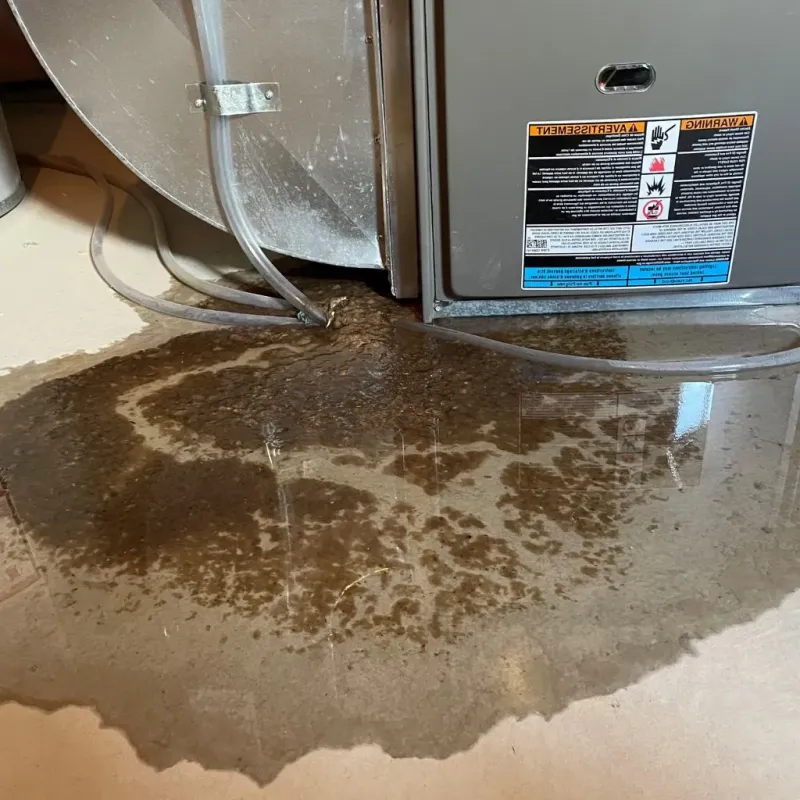 Pipe Burst and Leak Restoration in Lochsloy, WA