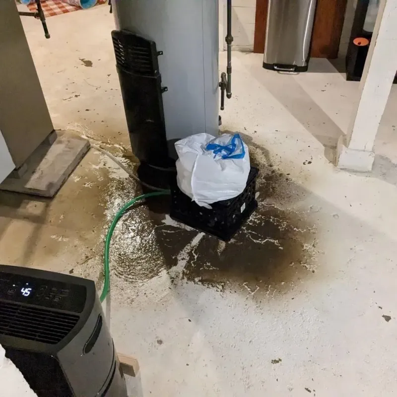 Sewage Backup Cleanup Service in Lochsloy, WA